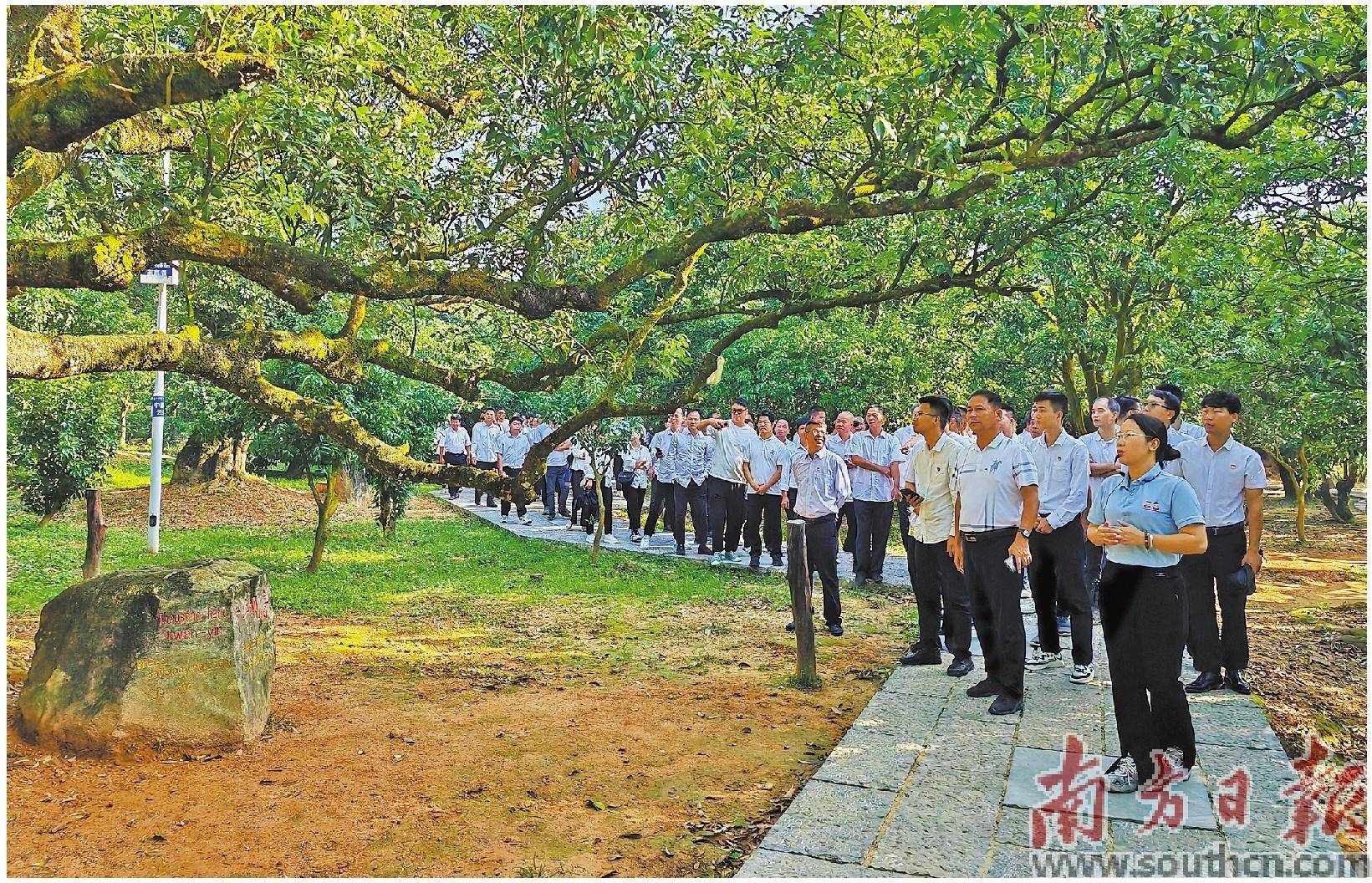 解锁乡村振兴密码 赋能“百千万工程”_柏桥_讲堂_荔枝