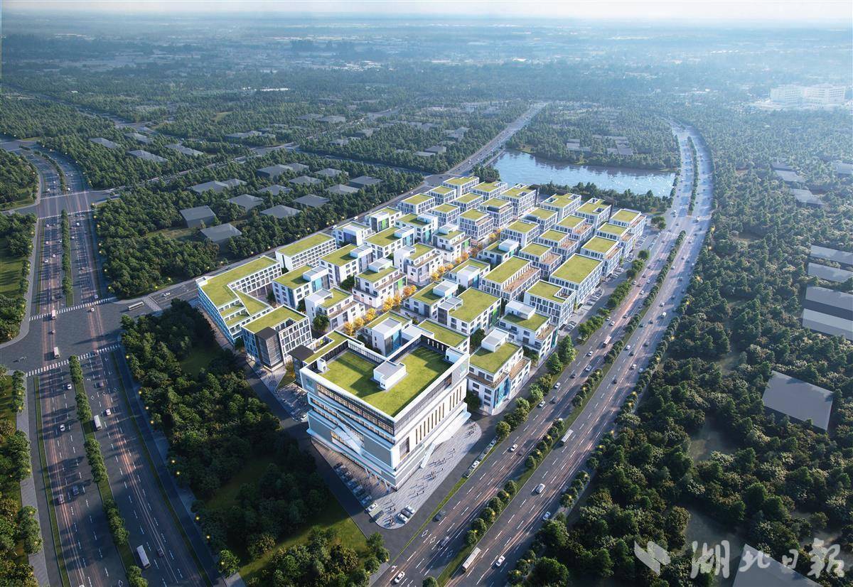 产业园区林立 国药光谷南大健康科技城加速"生长"_建设_项目_企业