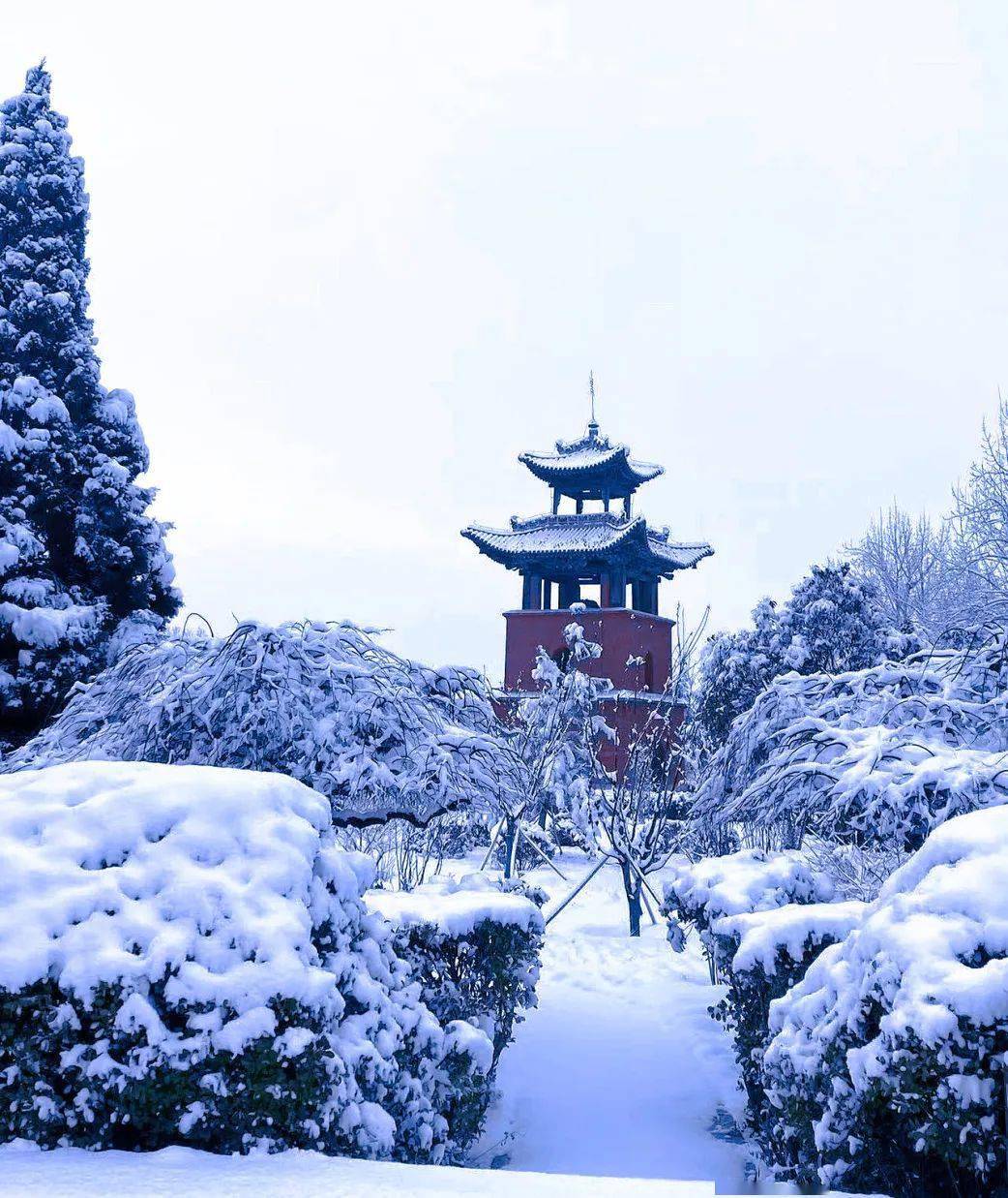 阳山威灵殿雪景图片