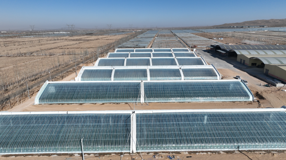 日光温室"智慧"变身!我市温室大棚尽显"科技范儿"_种植_温度_发展