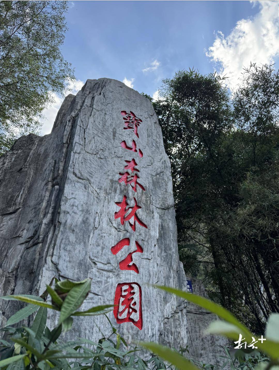宝山森林公园这一景点施工中,春节期间可开放