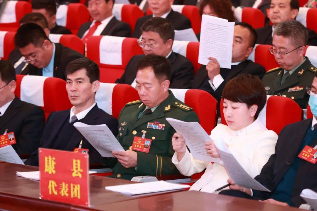 聚焦人代会 | 陇南市第五届人民代表大会第三次会议举行67第二次