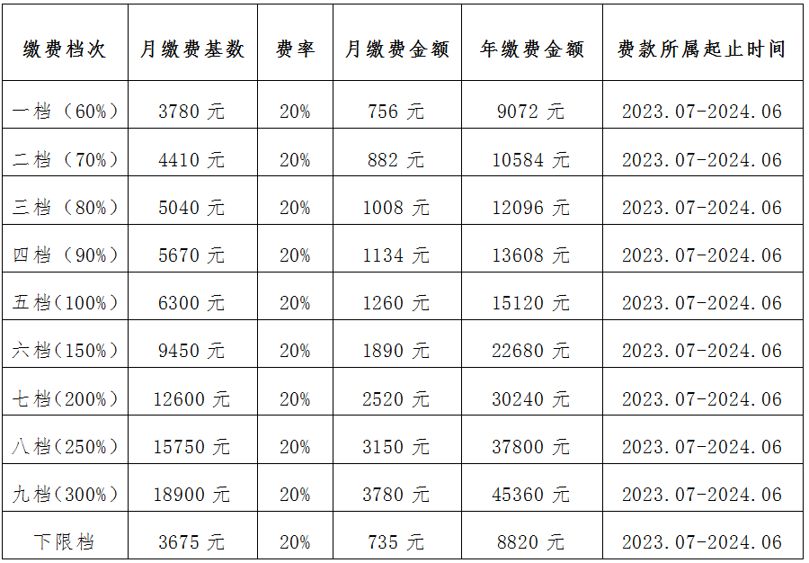 2020年社保缴费明细表图片