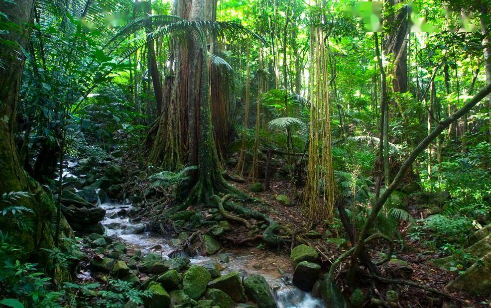 海南省科普教育基地丨海南热带雨林国家公园管理局霸王岭分局科普教育