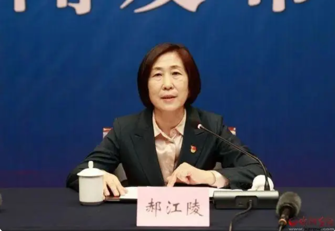 涉矿难瞒报！女厅官被双开