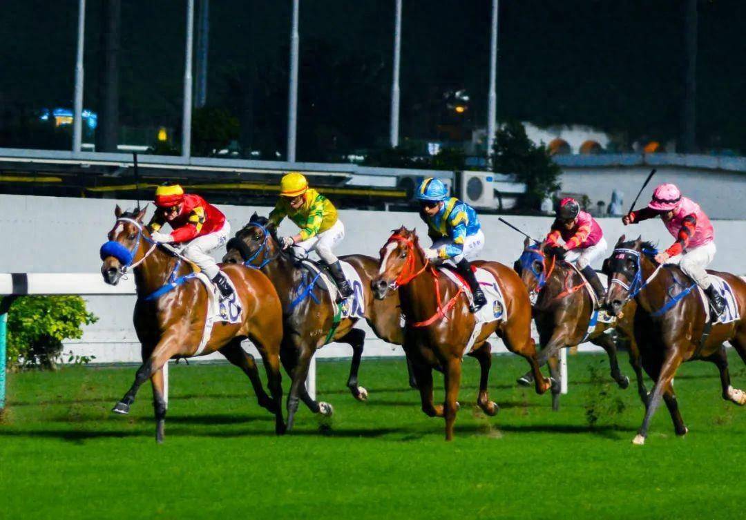 香港赛马会深化改革,执行总监增至12人_先生_事务_管理