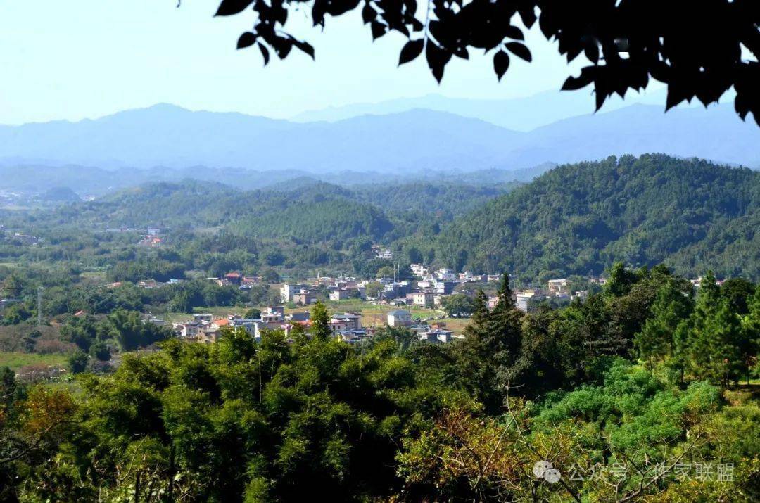 陳清:深秋,去從化桂峰村_柿子_山頂_石頭