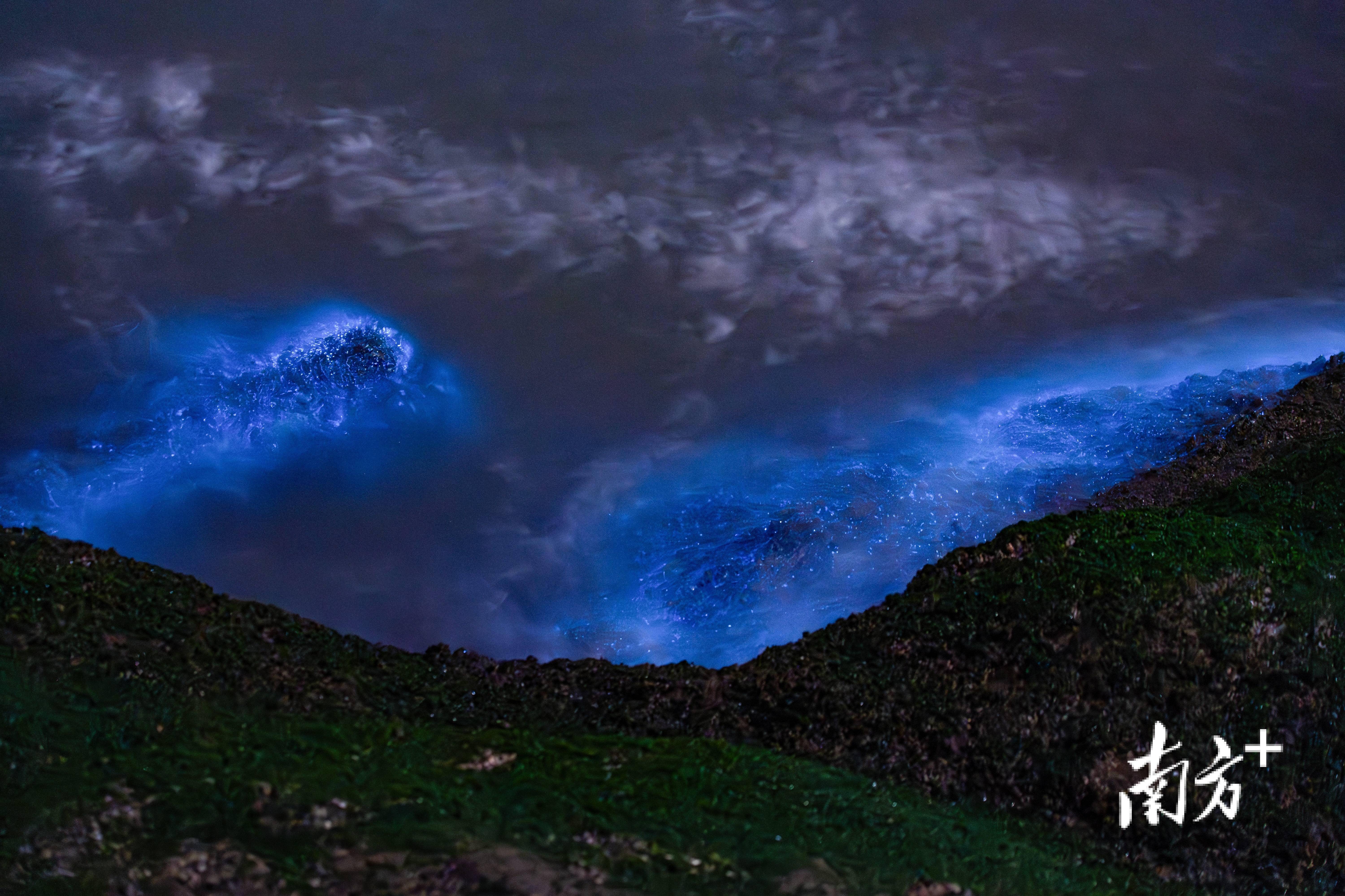 珠海再现"蓝眼泪" | 南方 拍客_奇观_荧光_罗晨霖