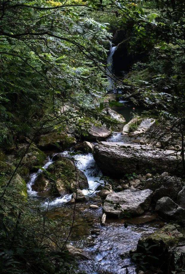 大邑這個村,被命名為