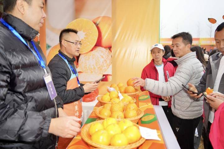 眉山市第七届晚熟柑橘节在青神开幕:当地被誉"中国椪柑之乡",去年柑橘