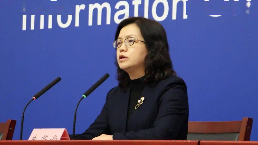 北京市统计局副局长,新闻发言人朱燕南请问发言人对