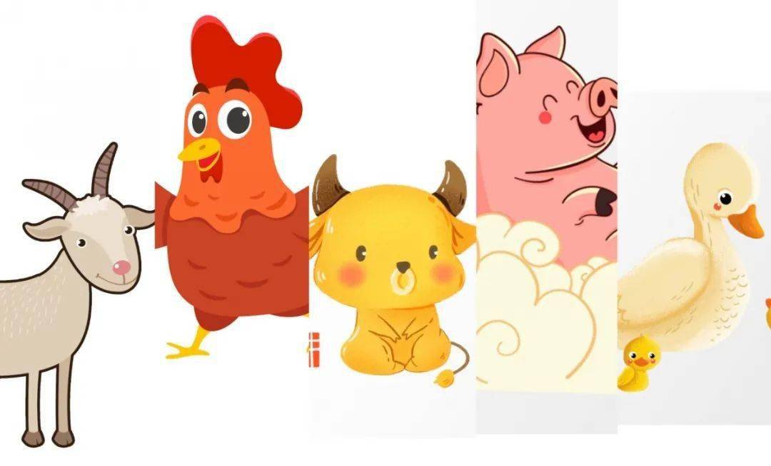 芦花鸡"咕咕咕"的鸡叫声此起彼伏玉花养殖农民专业合作社走进嘉峪关