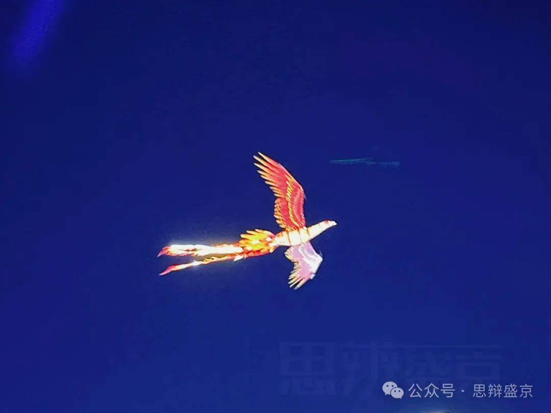 "出差"归来,老北市的凤凰竟然变多了?_活动_游客_锡伯