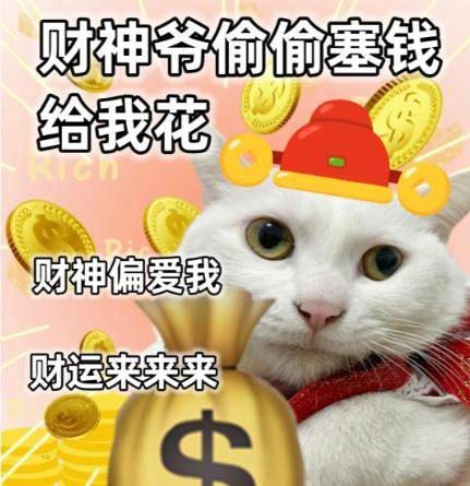 快过年了,来点年味小咪吧丨第899期喵表情包_侵权_网络_图片