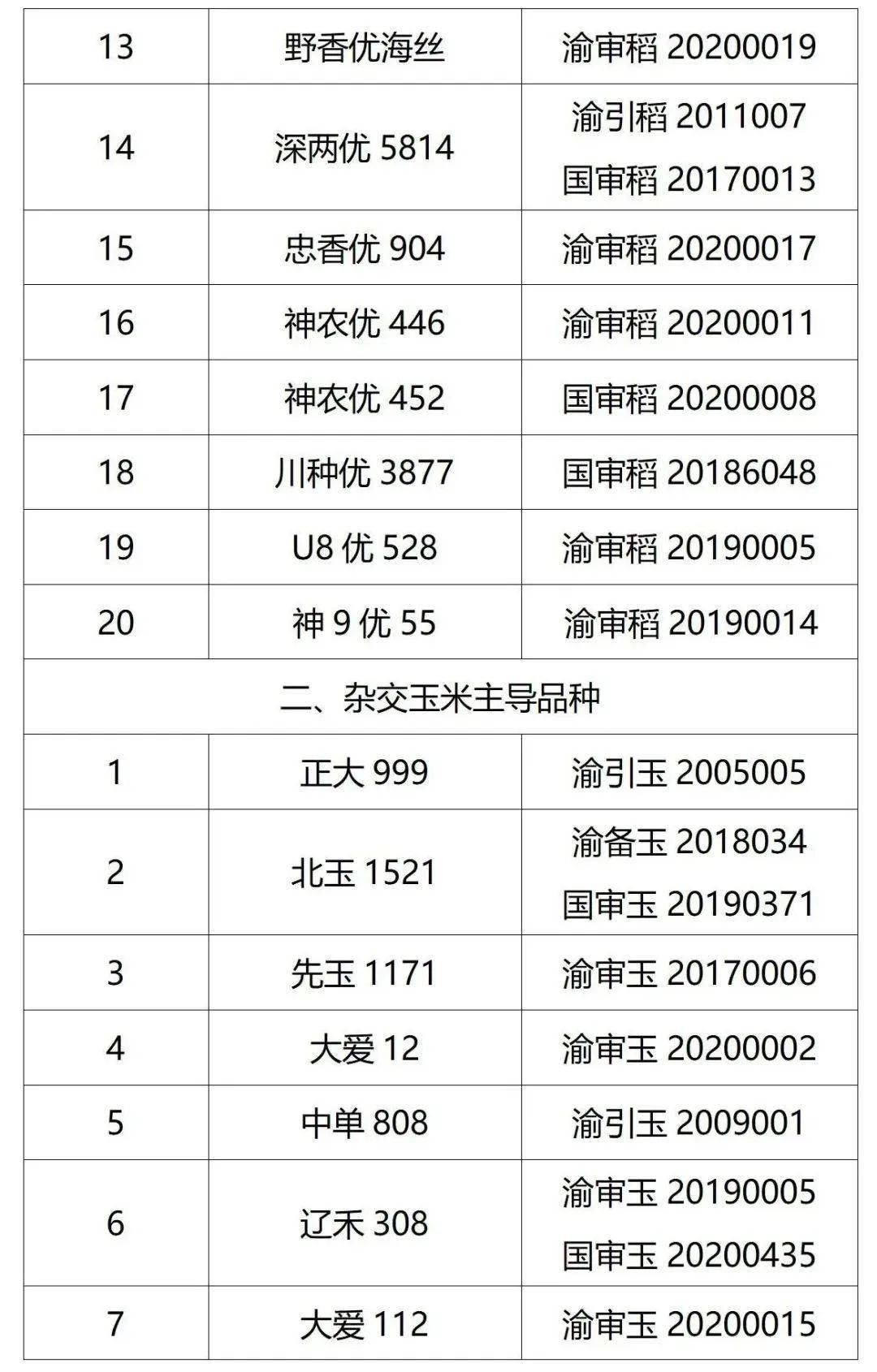 先玉1611玉米审定公告图片