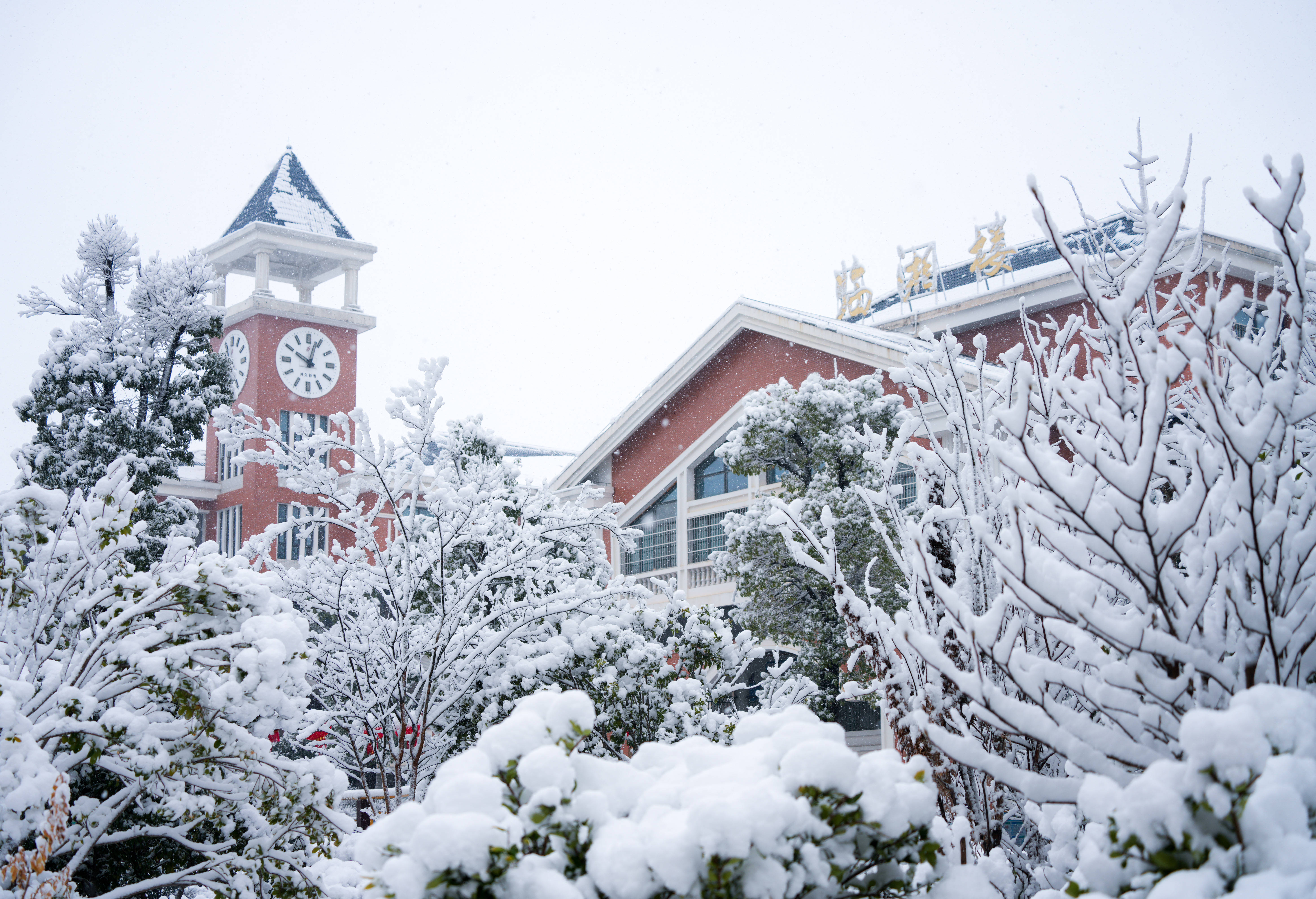 长沙校园雪景大片持续放送!来看看有你熟悉的校园吗_小学_街道_大同