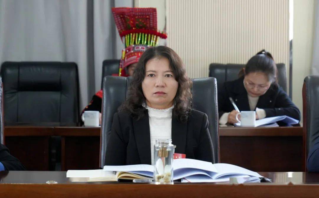 讨论热烈 "两会"代表,委员热议报告共谋发展_工作_石屏县_代表团