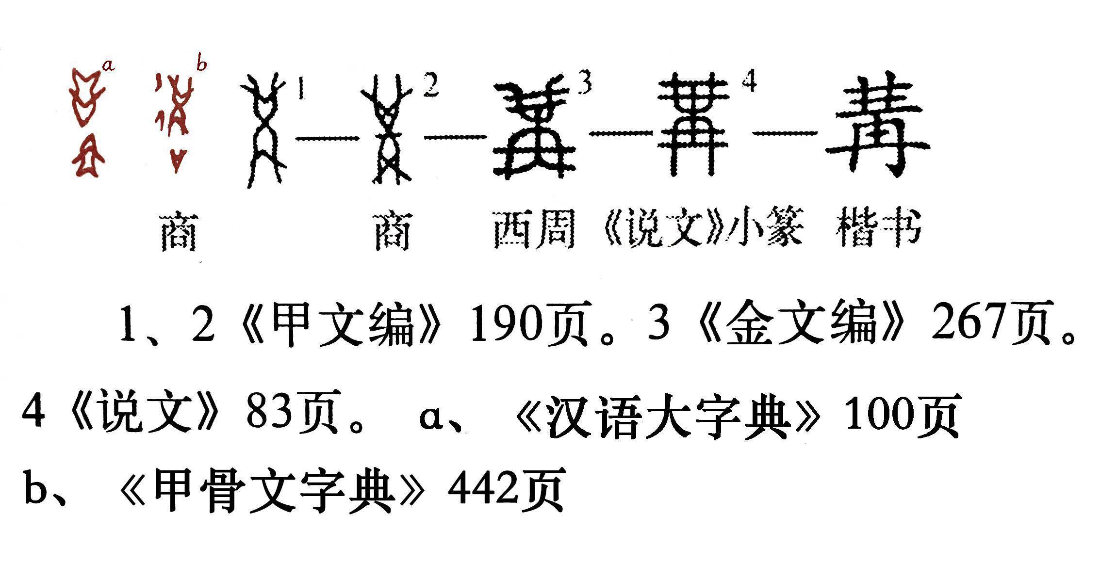 甲骨文字形 转换器图片