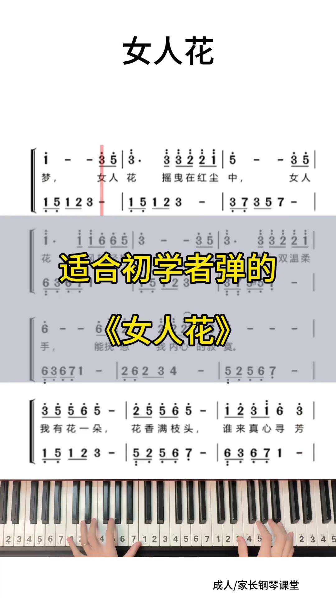 0基础学钢琴 电子琴 即兴伴奏 简谱 女人花
