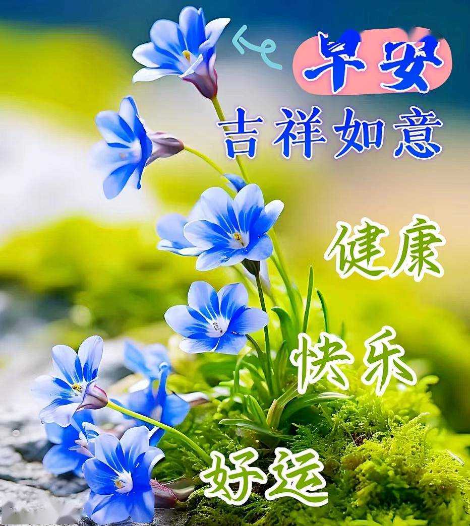 微信漂亮早安祝福问候语大全