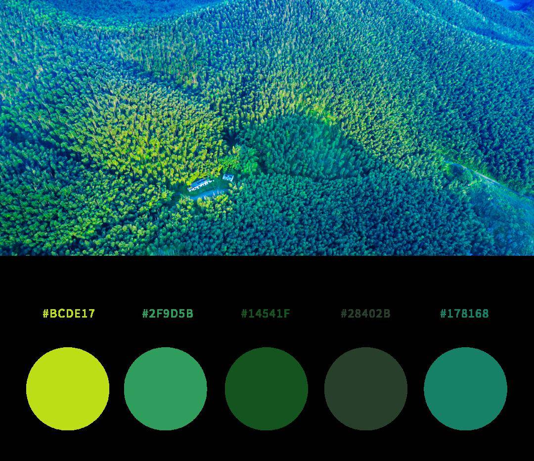 您收到一份来自常州天目湖的醉美配色表!_绿色_蓝色_颜色