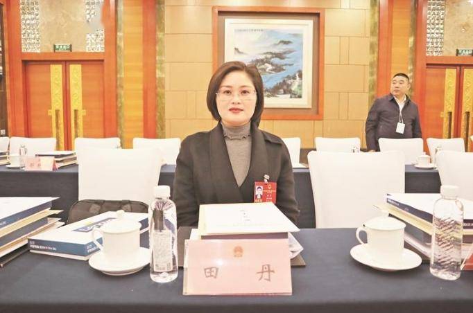 聚焦省两会|田丹代表:擦亮"贵人服务"品牌 引进更多优强企业_沿河_营