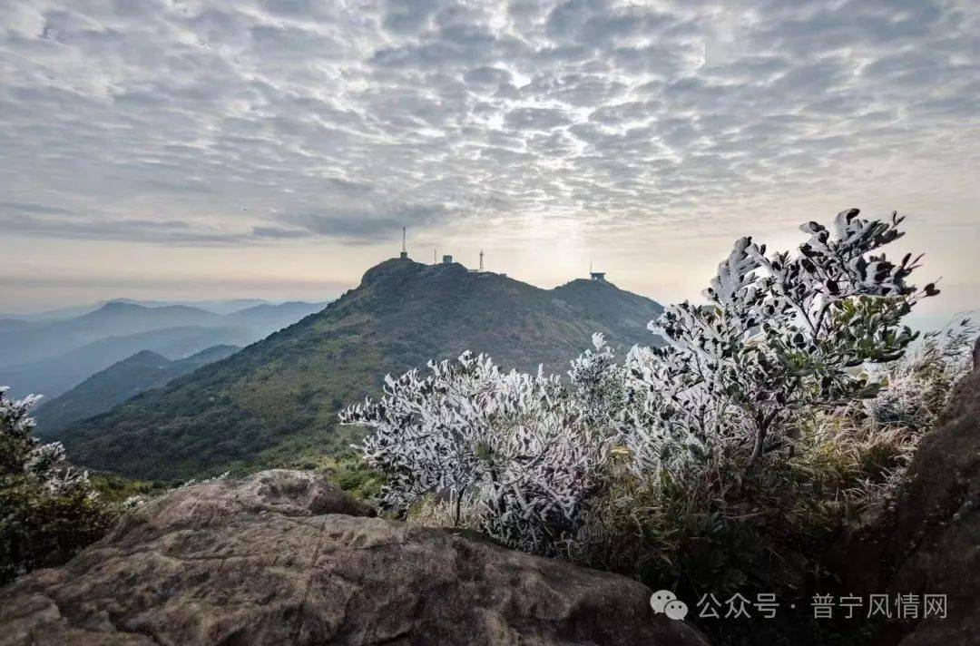 船埔镇利坑村气温跌破零下1.3°c_普宁_揭阳_揭西