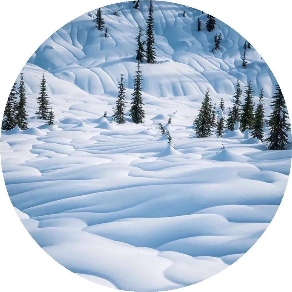风鸣北户霜威重,云压南山雪意高.