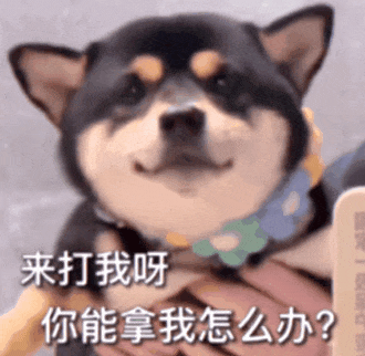 日常搞笑表情包:我哪里敢说话
