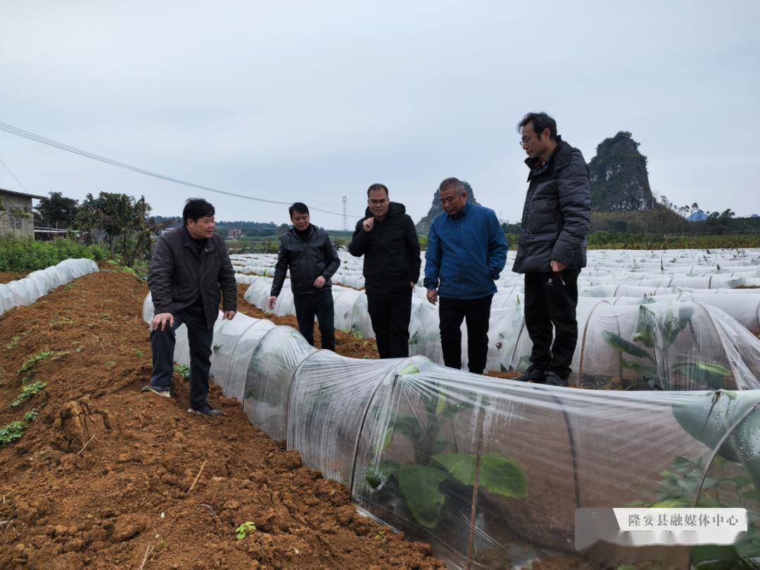 农技人员进基地 防寒防冻保生产