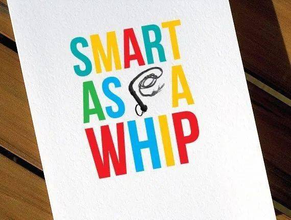 「smart as a whip」和"鞭子"有啥关系?_english_bright_you