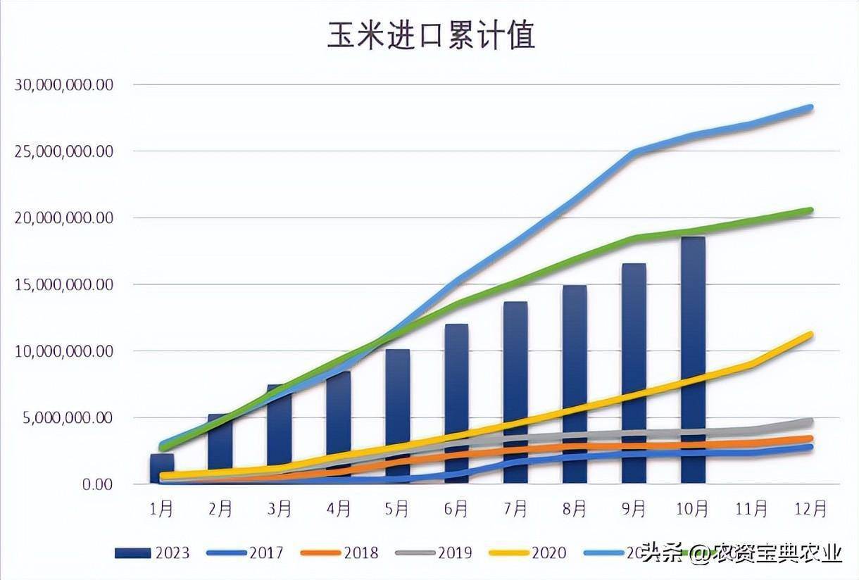 2024年玉米市場分析及成本收益研報_價格_階段_反彈