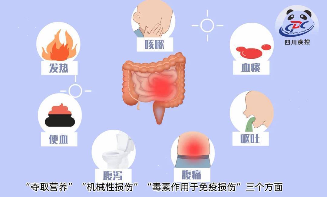 控制傳染源,切斷傳播途徑和保護易感