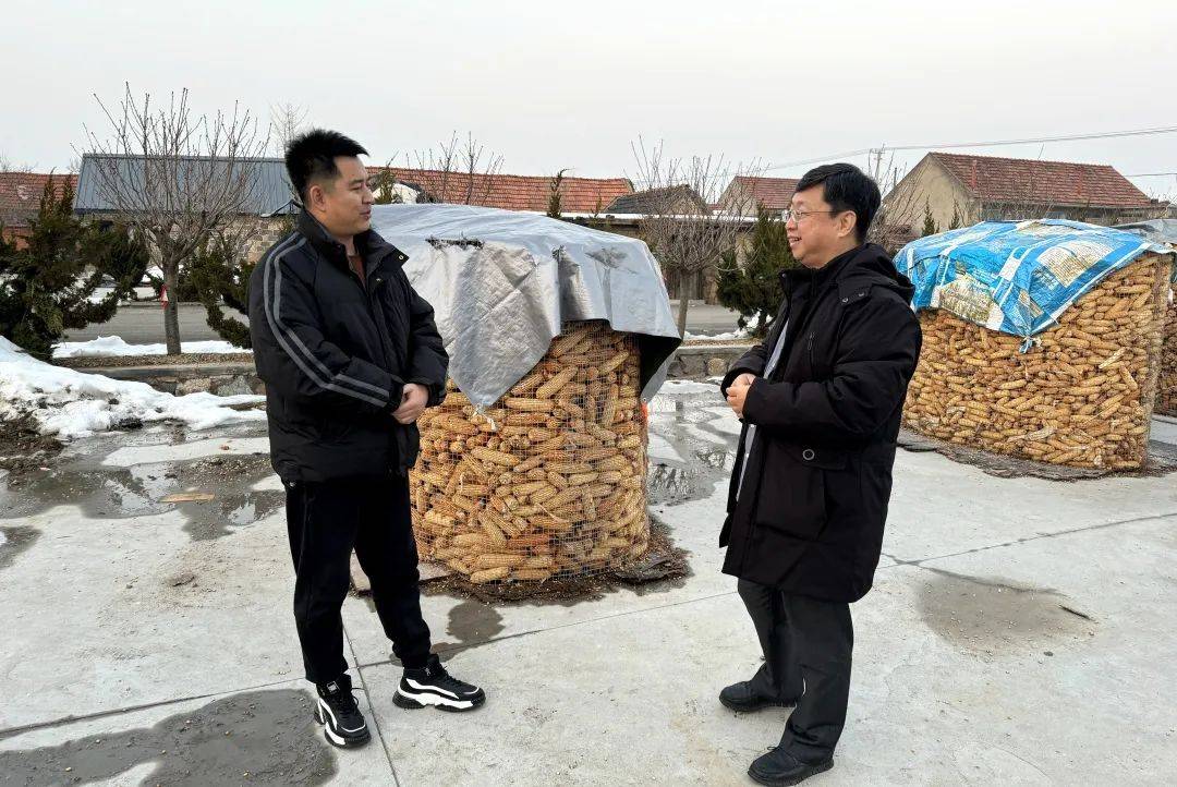 【乡村振兴首席专家】李凌己:初心的力量_威海_实践_工作