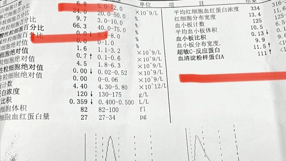 血常規及炎症指標基本接近正常.