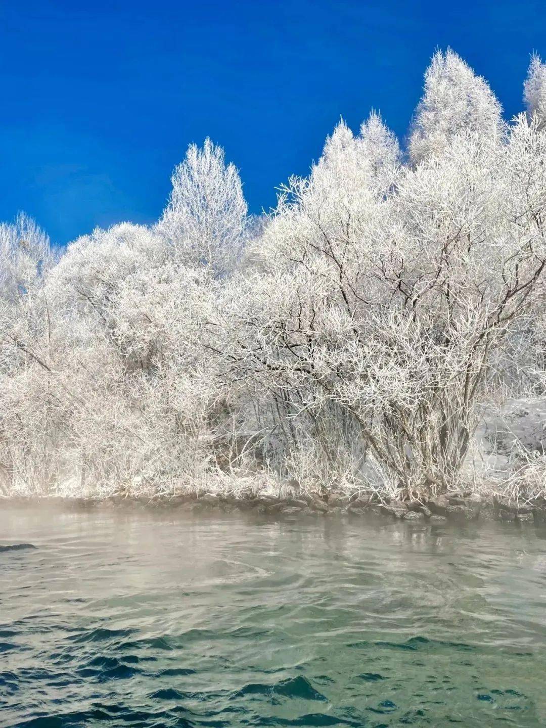 雪乡雾凇冰松图片图片