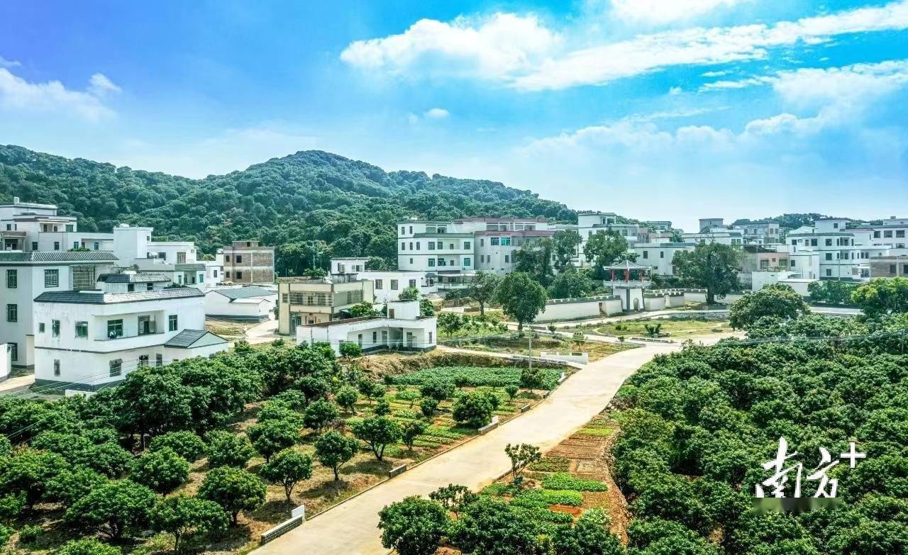 基层善治背后,高州法治建设触角如何向基层一线延伸?