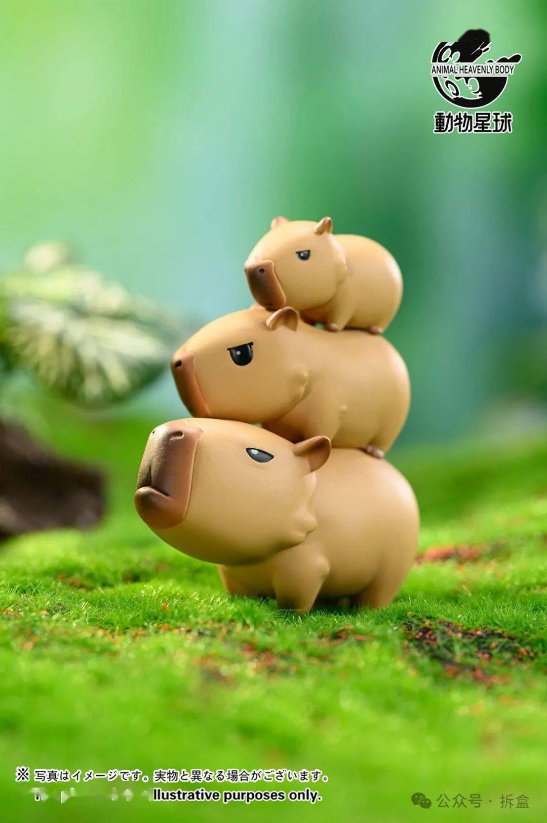 动物星球水豚盲盒,卡皮巴拉和他的朋友们~_toys_玩具_斯巴达克