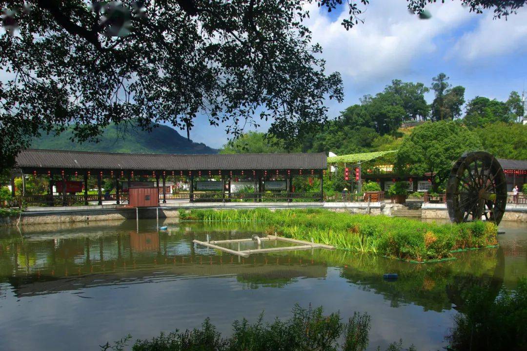 平阳鸣山村图片图片