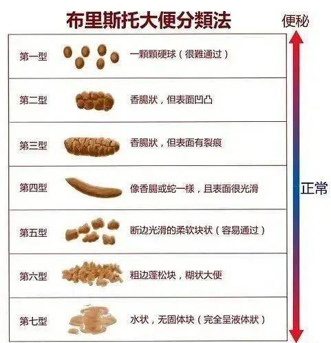 一到关键时刻就跑厕所