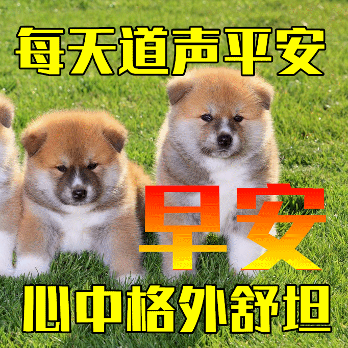 周末到,送你四时之顺:一则工作顺利,一帆风顺;二则心情顺气,神清气爽