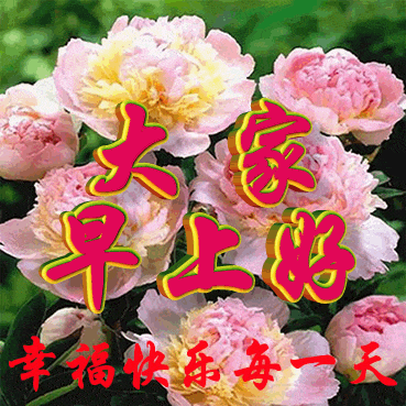 369_369gif 动态图 动图