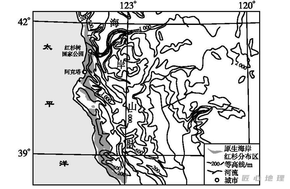 目前,原生海岸紅杉僅分佈於美國西海岸.1972年尼克松訪華時贈