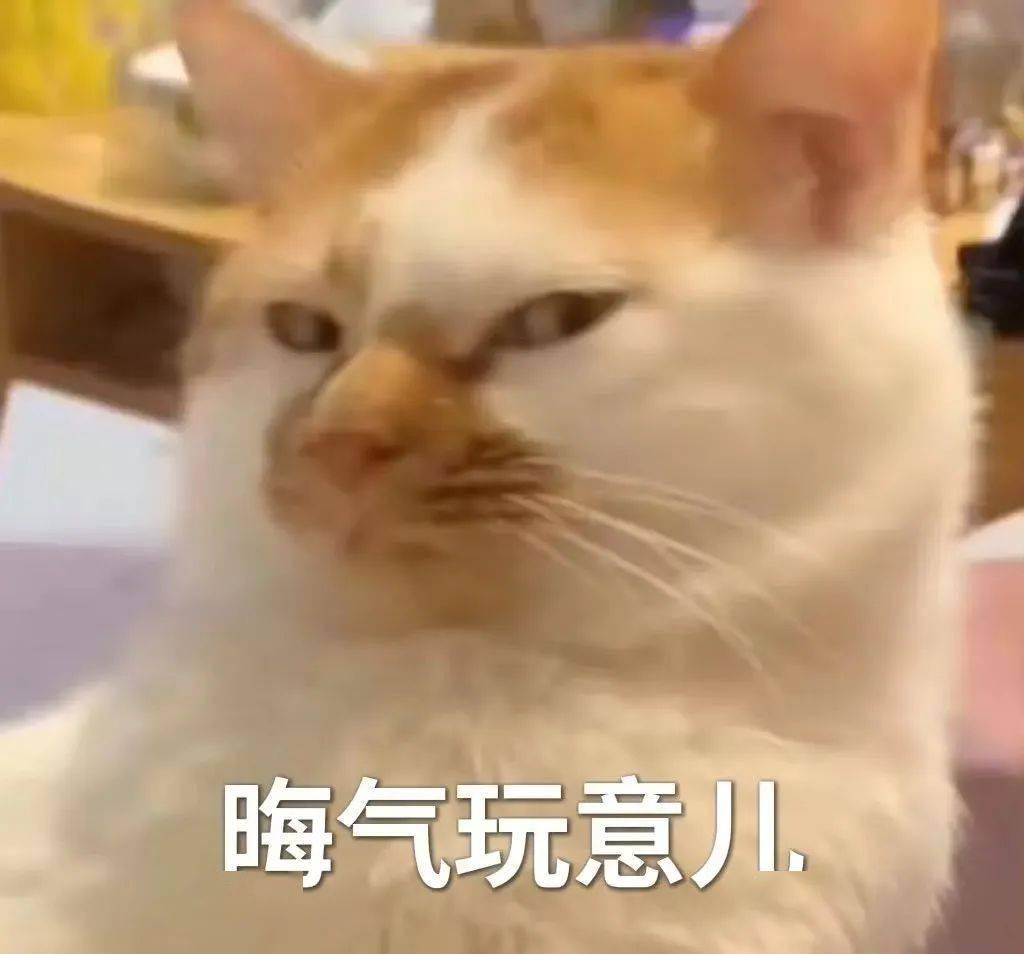 熊猫头表情包桌面壁纸图片