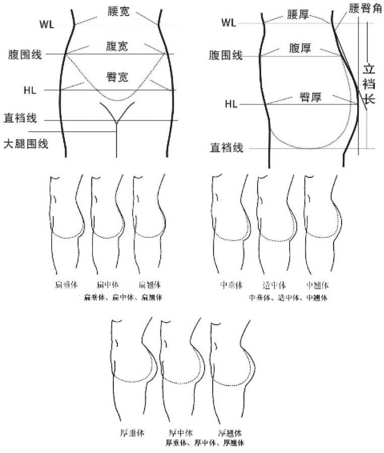 臀围线的位置图图片