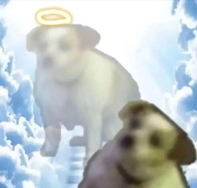 微信动态表情包:退网了 令人心寒_公众_il_熊猫头