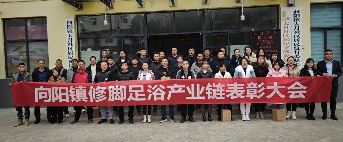 紫阳县向阳镇:表彰修脚足浴产业修脚致富带头人_发展_作用_社会