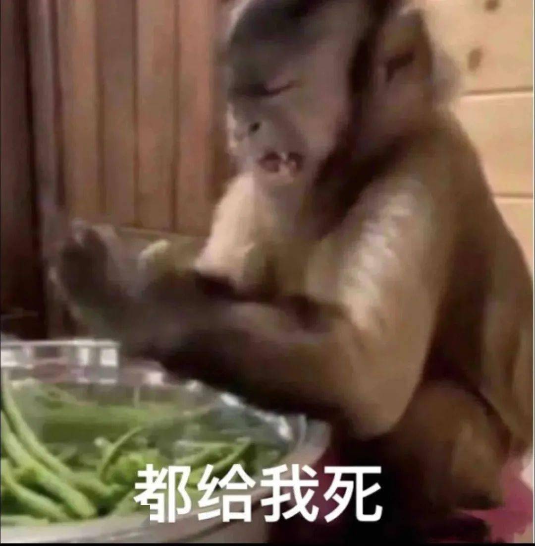 沙雕表情包:活该你被骂_公众_il_li