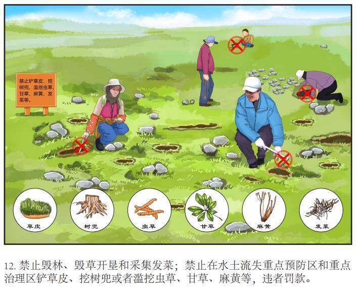 依法防治水土流失,保护水土资源,为改善生态环境而努力!