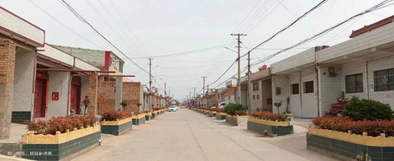 扶风县绛帐镇集中开展"干干净净迎新春"全域村庄清洁行动